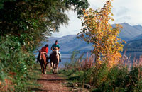 Pony trekking in Glen Affric